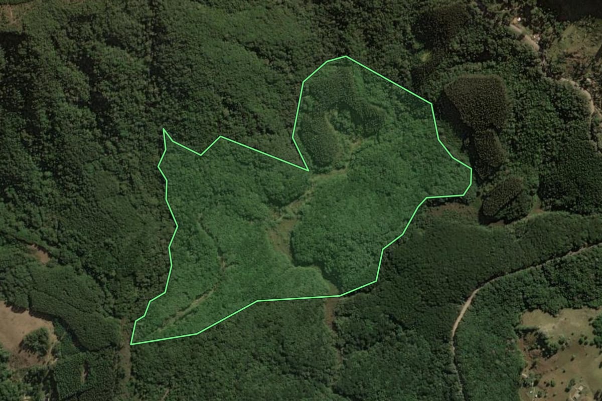 Imagem de satélite do imóvel rural em Jaguariaíva (PR), com o contorno declarado no CAR desenhado por cima.