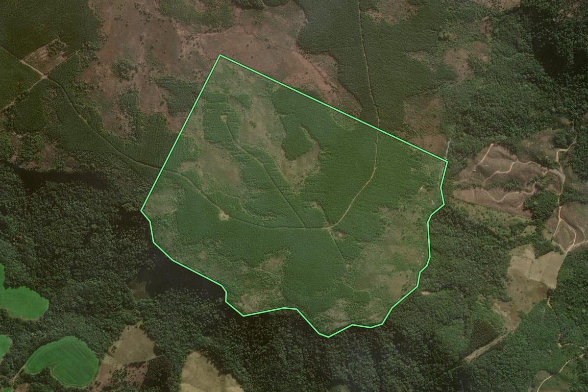 Imagem de satélite do imóvel rural em Jaguariaíva (PR), com o contorno declarado no CAR desenhado por cima.
