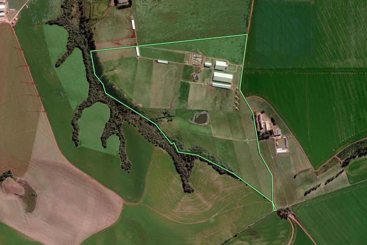 Imagem de satélite do imóvel rural em Jaguariaíva (PR), com o contorno declarado no CAR desenhado por cima.
