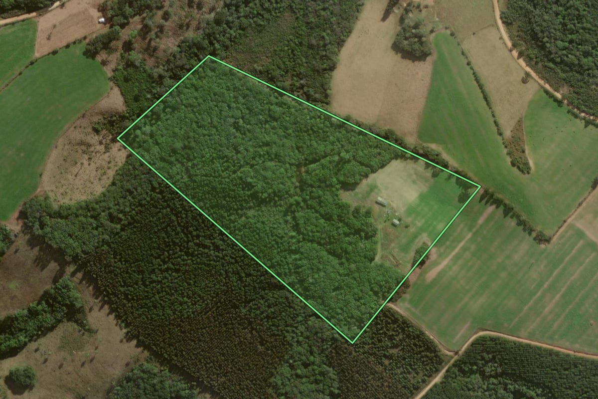 Imagem de satélite do imóvel rural em Jaguariaíva (PR), com o contorno declarado no CAR desenhado por cima.
