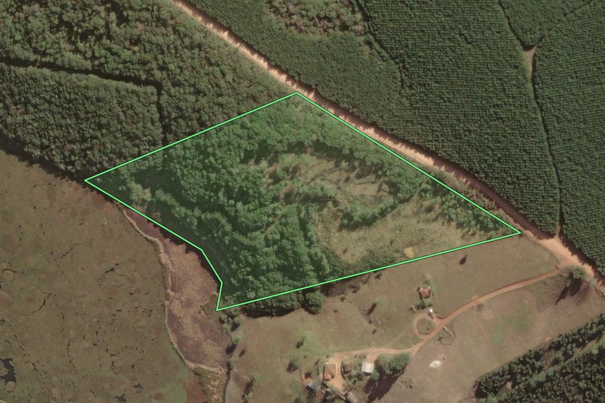 Imagem de satélite do imóvel rural em Jaguariaíva (PR), com o contorno declarado no CAR desenhado por cima.