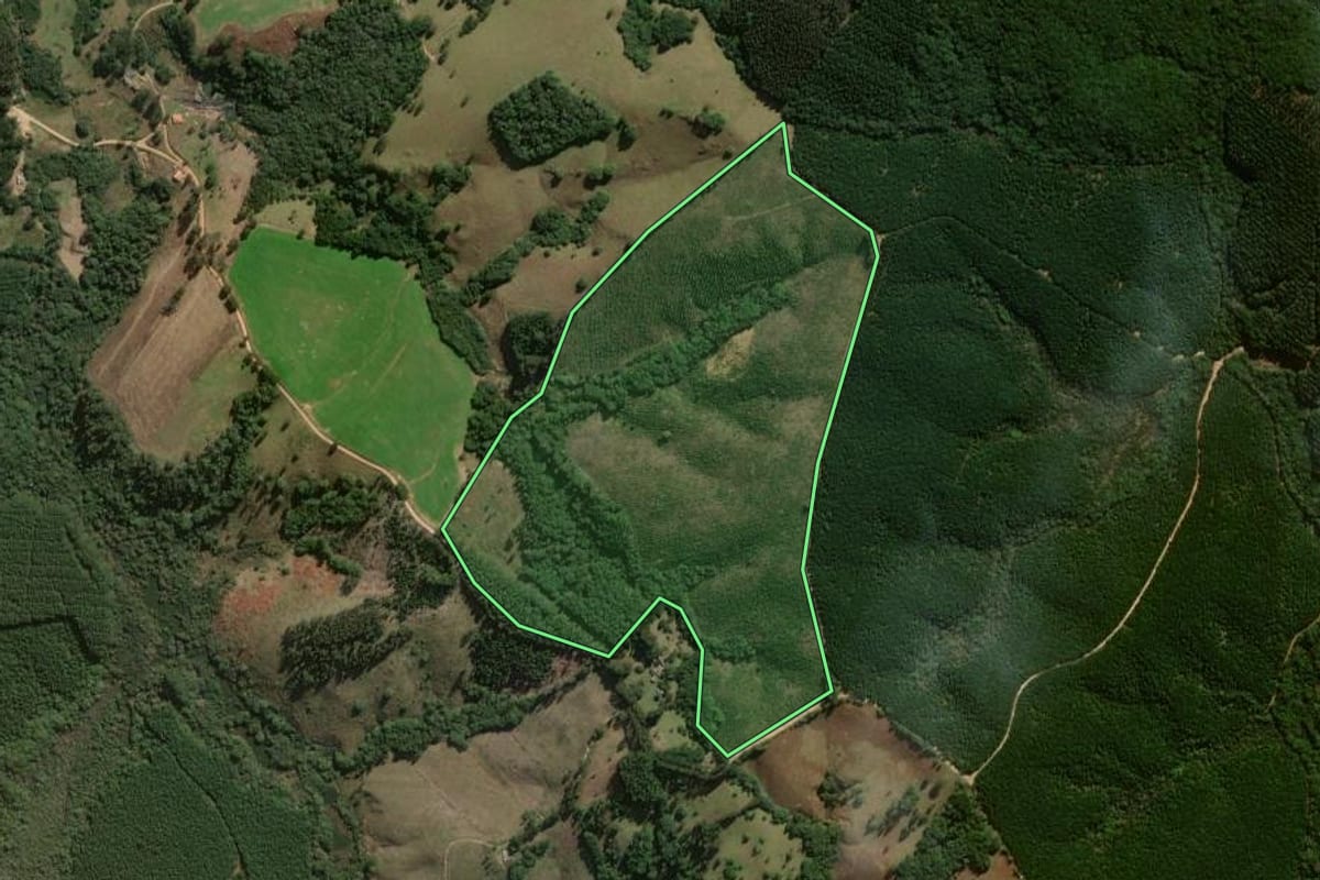 Imagem de satélite do imóvel rural em Jaguariaíva (PR), com o contorno declarado no CAR desenhado por cima.