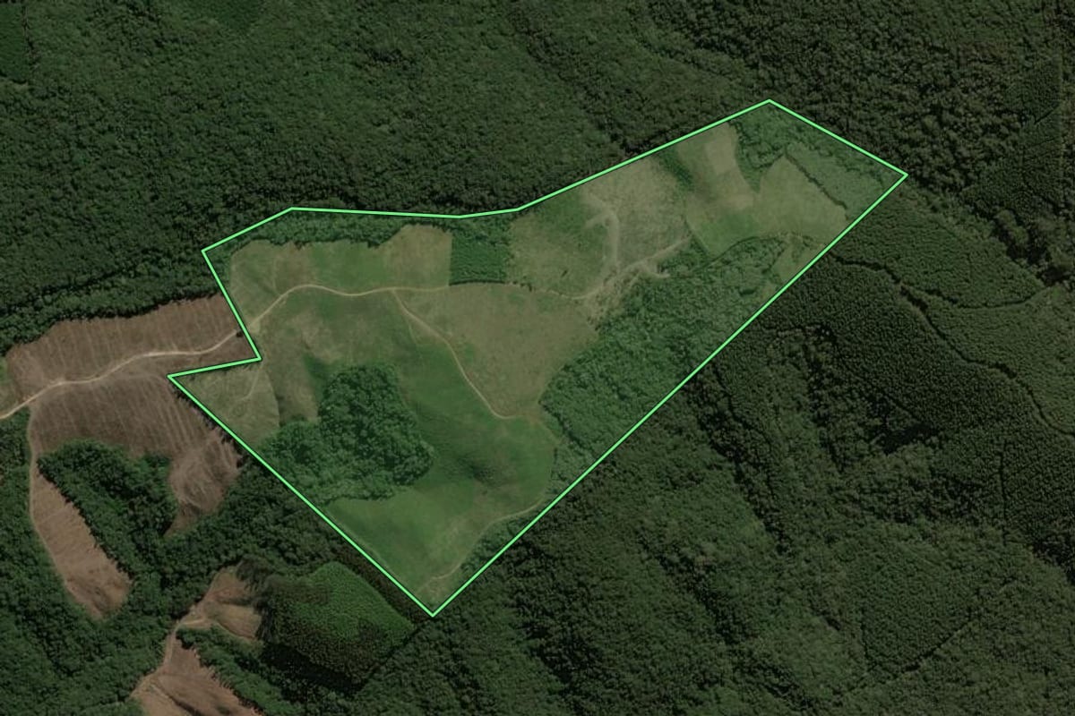 Imagem de satélite do imóvel rural em Jaguariaíva (PR), com o contorno declarado no CAR desenhado por cima.