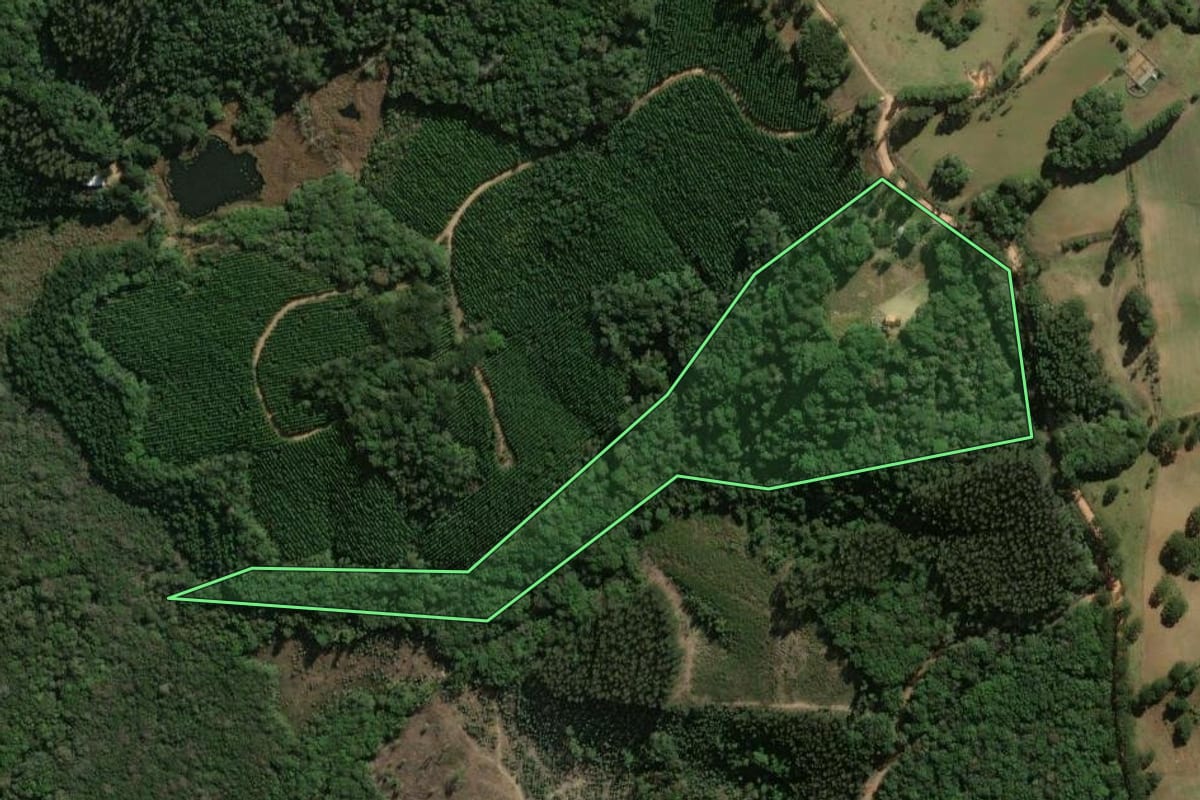 Imagem de satélite do imóvel rural em Jaguariaíva (PR), com o contorno declarado no CAR desenhado por cima.