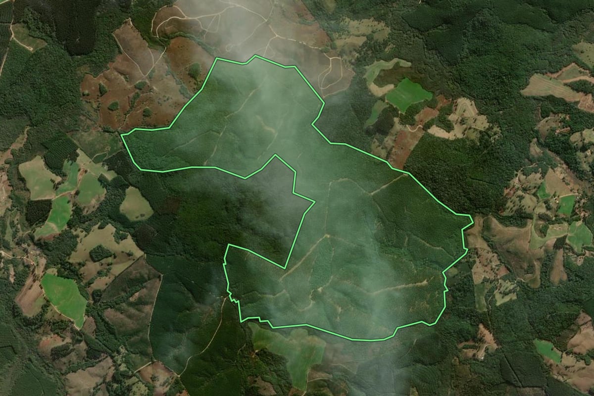 Imagem de satélite do imóvel rural em Jaguariaíva (PR), com o contorno declarado no CAR desenhado por cima.