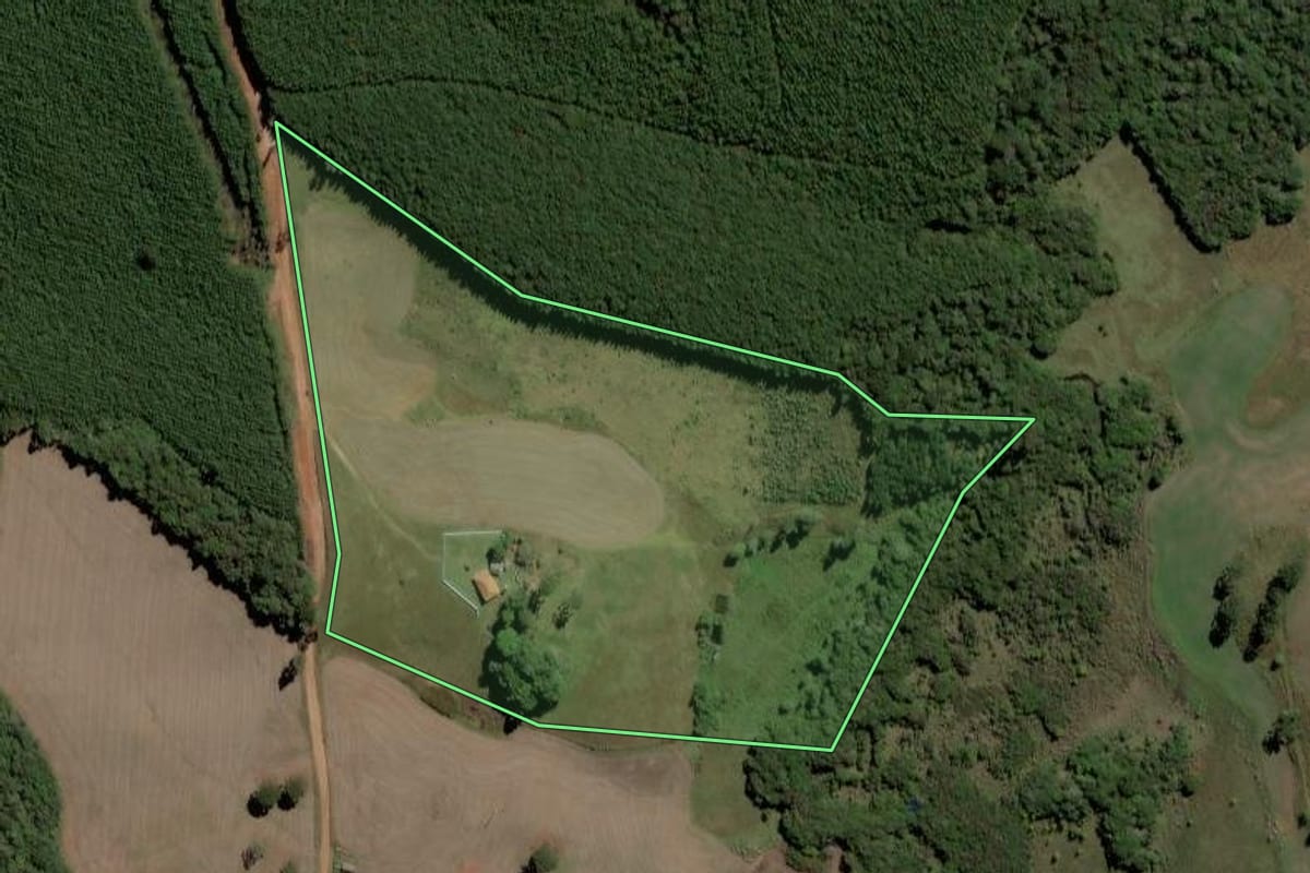 Imagem de satélite do imóvel rural em Jaguariaíva (PR), com o contorno declarado no CAR desenhado por cima.