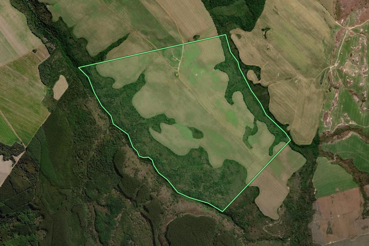 Imagem de satélite do imóvel rural em Jaguariaíva (PR), com o contorno declarado no CAR desenhado por cima.
