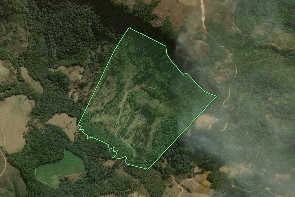 Imagem de satélite do imóvel rural em Jaguariaíva (PR), com o contorno declarado no CAR desenhado por cima.