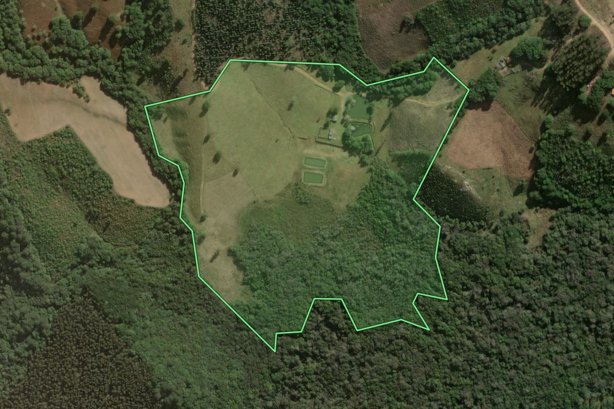 Imagem de satélite do imóvel rural em Jaguariaíva (PR), com o contorno declarado no CAR desenhado por cima.