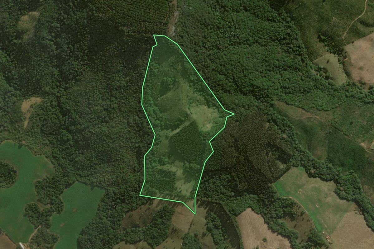 Imagem de satélite do imóvel rural em Jaguariaíva (PR), com o contorno declarado no CAR desenhado por cima.