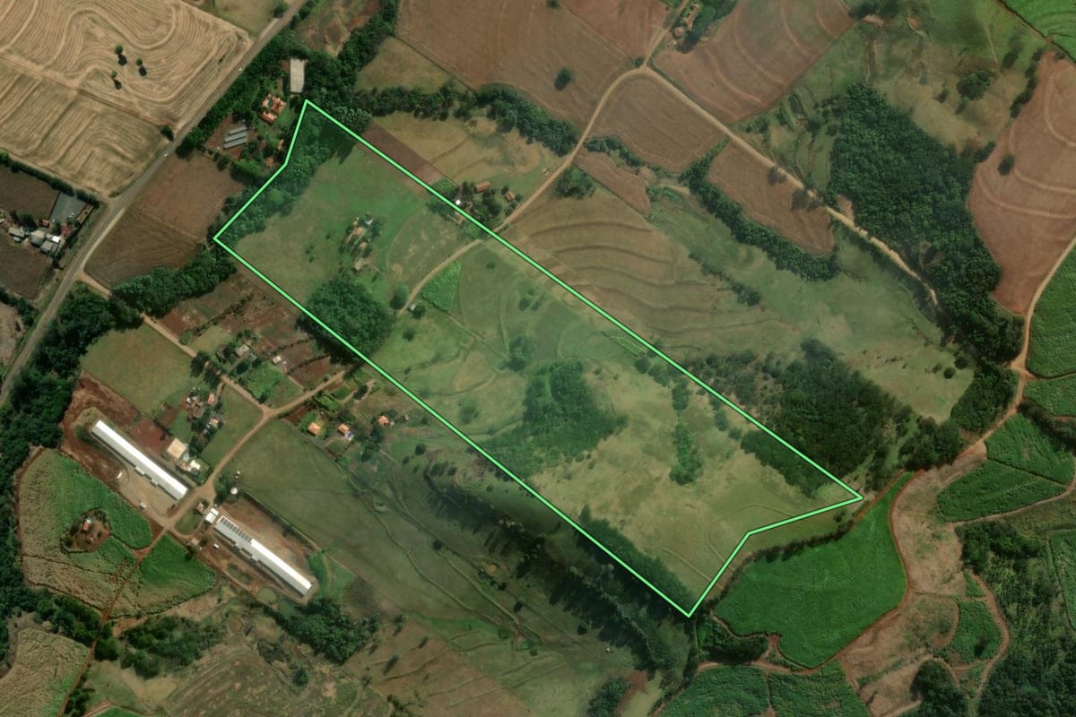 Imagem de satélite do imóvel rural em Jandaia do Sul (PR), com o contorno declarado no CAR desenhado por cima.