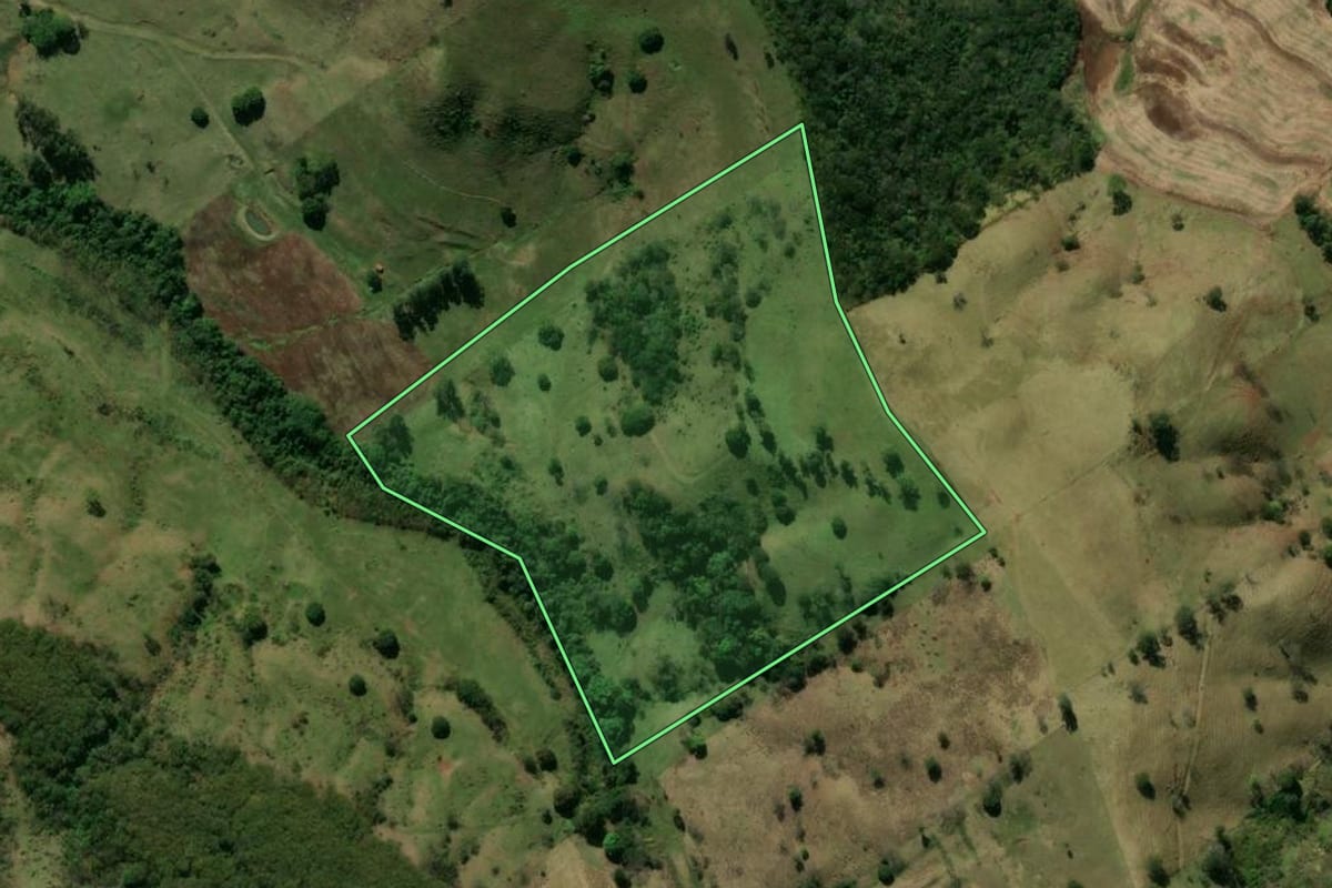 Imagem de satélite do imóvel rural em Jandaia do Sul (PR), com o contorno declarado no CAR desenhado por cima.
