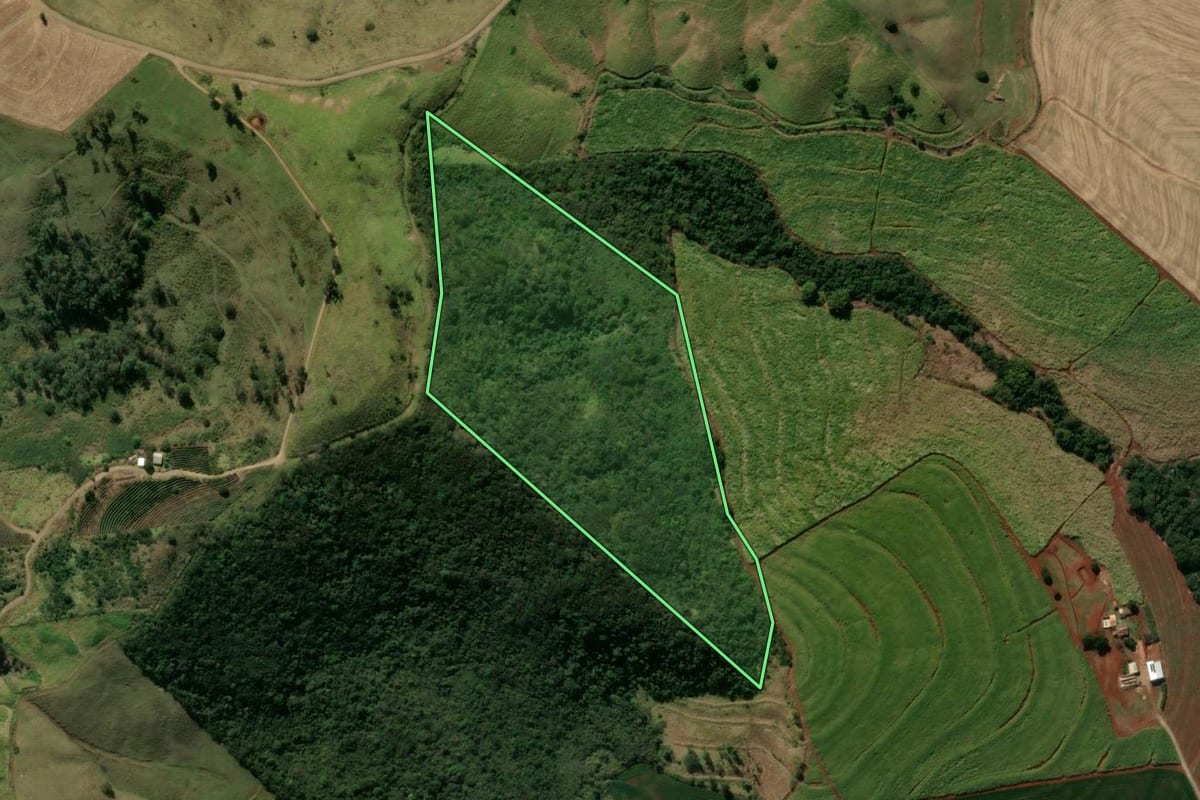 Imagem de satélite do imóvel rural em Jandaia do Sul (PR), com o contorno declarado no CAR desenhado por cima.