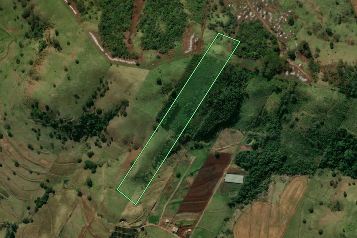 Imagem de satélite do imóvel rural em Jandaia do Sul (PR), com o contorno declarado no CAR desenhado por cima.