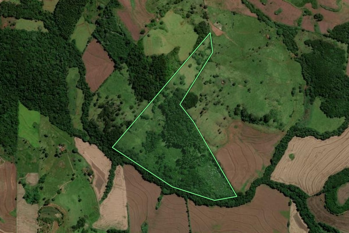 Imagem de satélite do imóvel rural em Jandaia do Sul (PR), com o contorno declarado no CAR desenhado por cima.