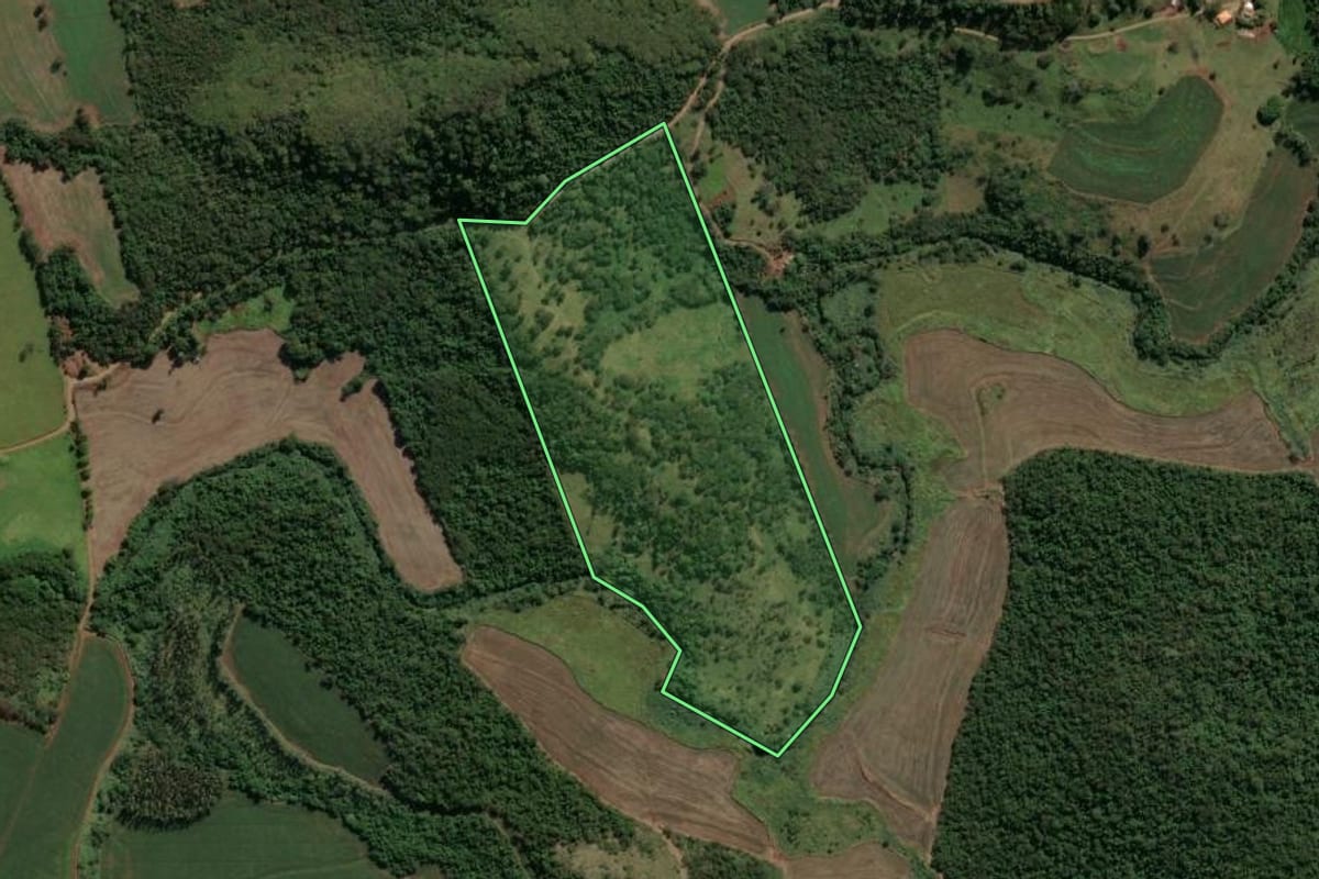 Imagem de satélite do imóvel rural em Jandaia do Sul (PR), com o contorno declarado no CAR desenhado por cima.