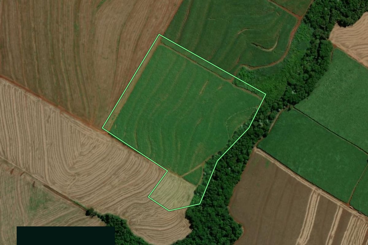 Imagem de satélite do imóvel rural em Jandaia do Sul (PR), com o contorno declarado no CAR desenhado por cima.