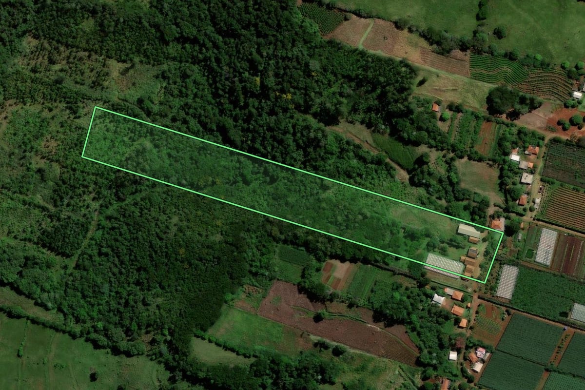 Imagem de satélite do imóvel rural em Jandaia do Sul (PR), com o contorno declarado no CAR desenhado por cima.