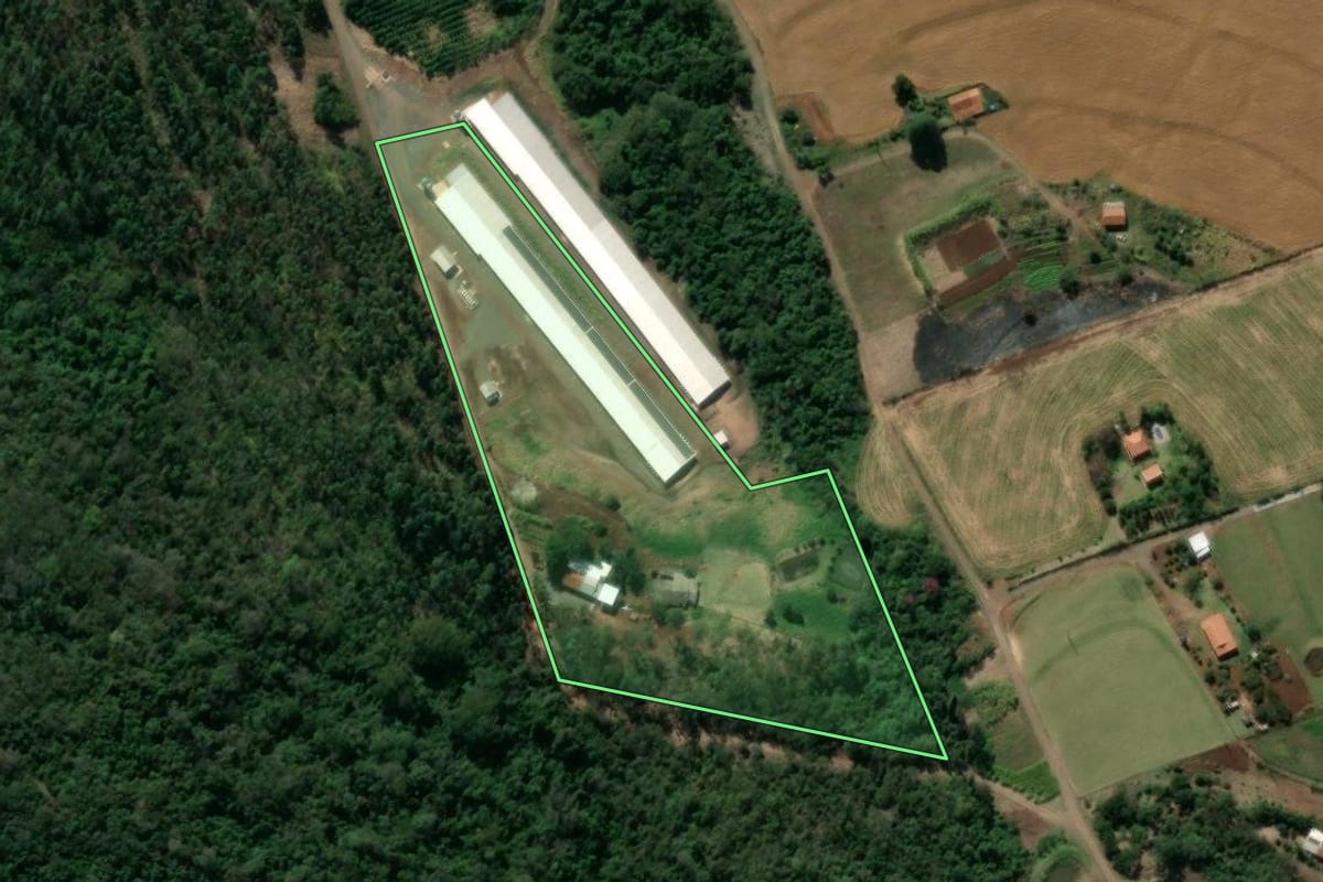 Imagem de satélite do imóvel rural em Jandaia do Sul (PR), com o contorno declarado no CAR desenhado por cima.