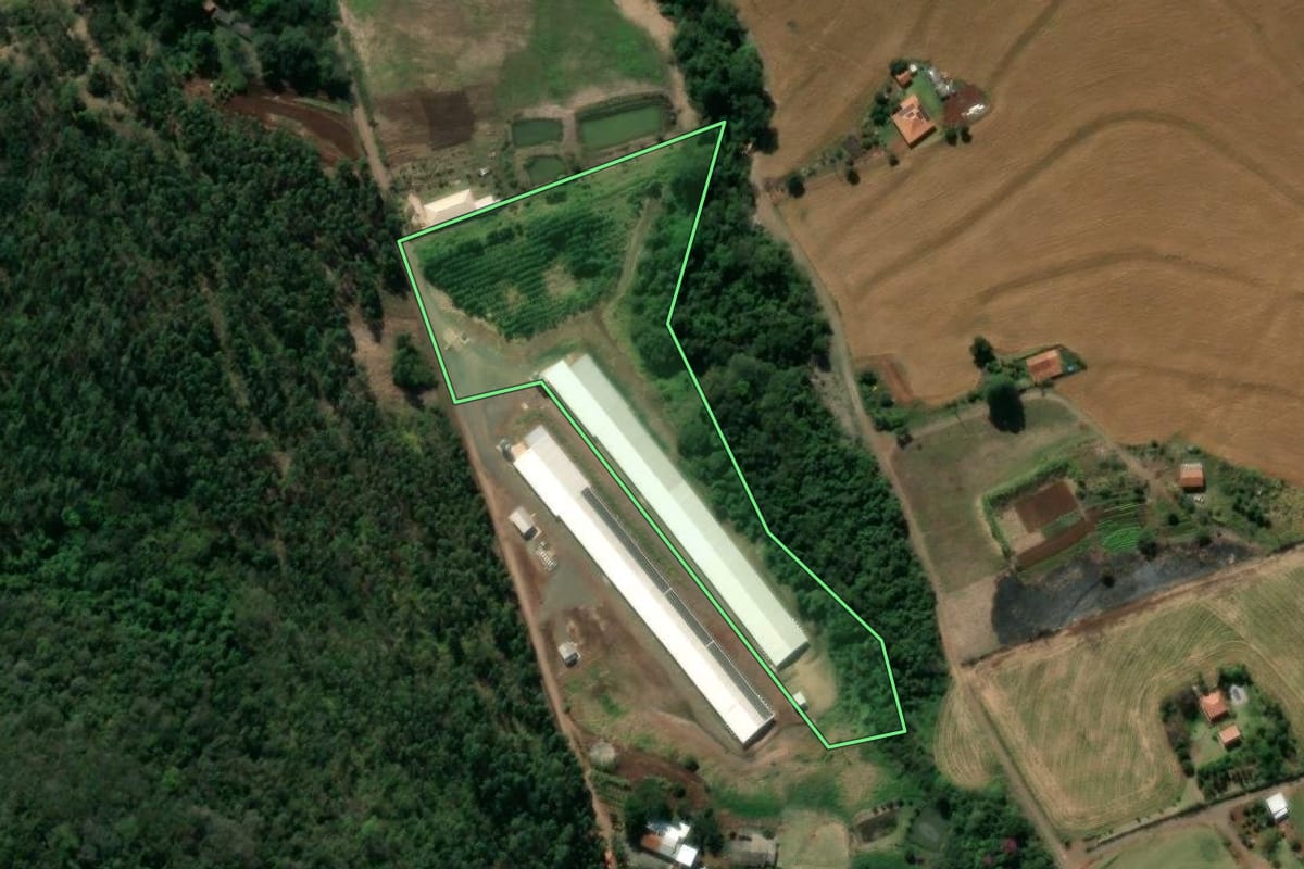 Imagem de satélite do imóvel rural em Jandaia do Sul (PR), com o contorno declarado no CAR desenhado por cima.