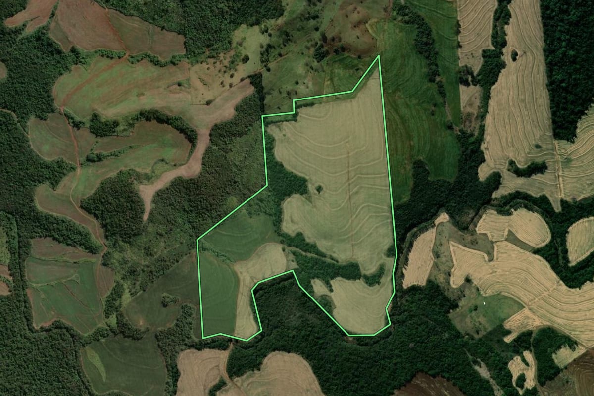 Imagem de satélite do imóvel rural em Jandaia do Sul (PR), com o contorno declarado no CAR desenhado por cima.