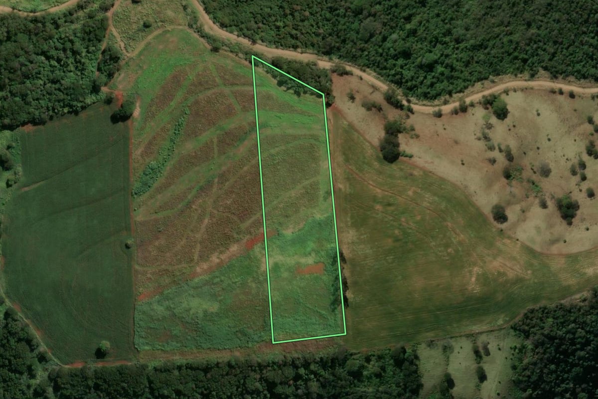 Imagem de satélite do imóvel rural em Jandaia do Sul (PR), com o contorno declarado no CAR desenhado por cima.
