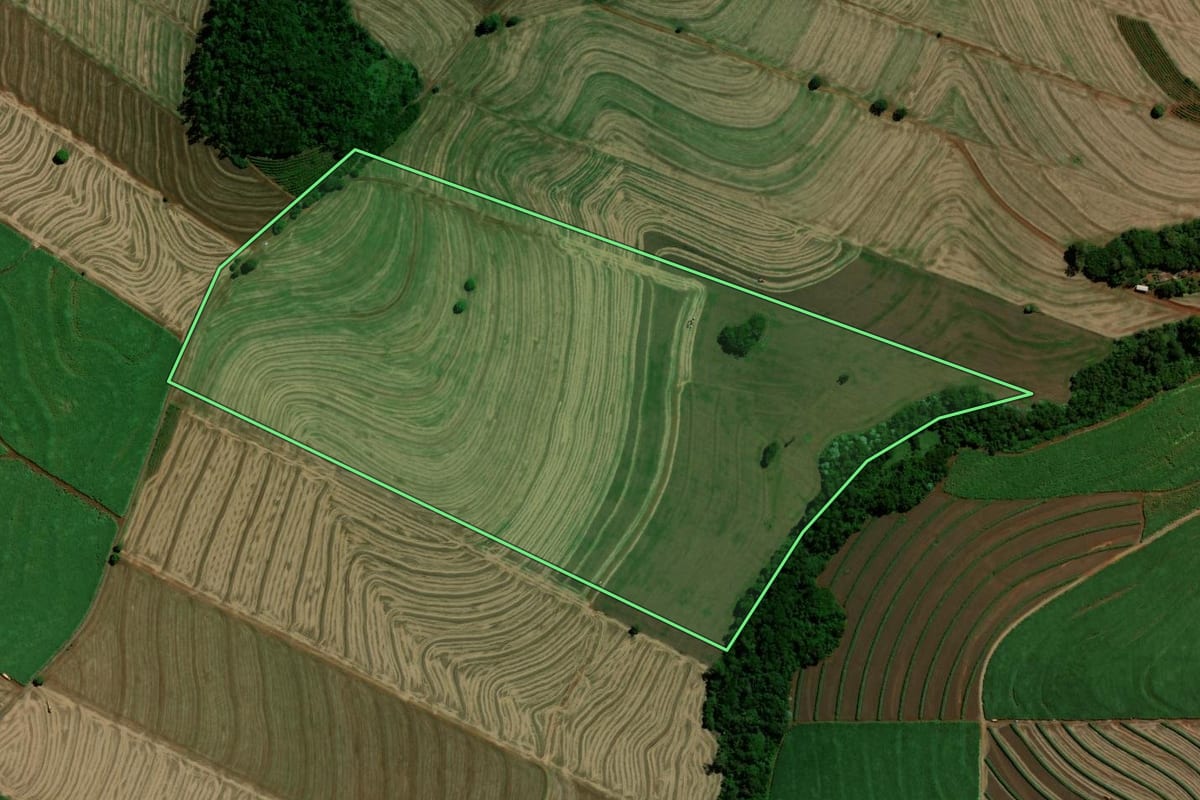 Imagem de satélite do imóvel rural em Jandaia do Sul (PR), com o contorno declarado no CAR desenhado por cima.