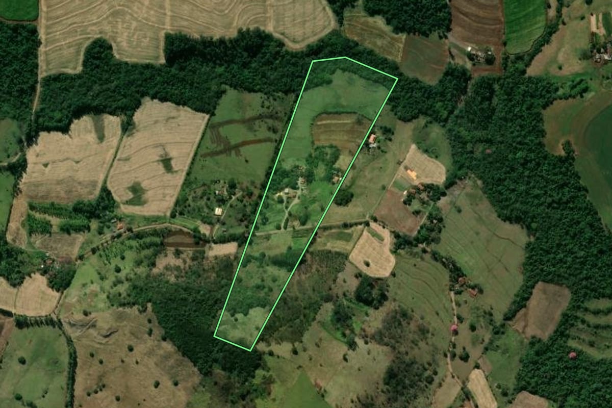 Imagem de satélite do imóvel rural em Jandaia do Sul (PR), com o contorno declarado no CAR desenhado por cima.