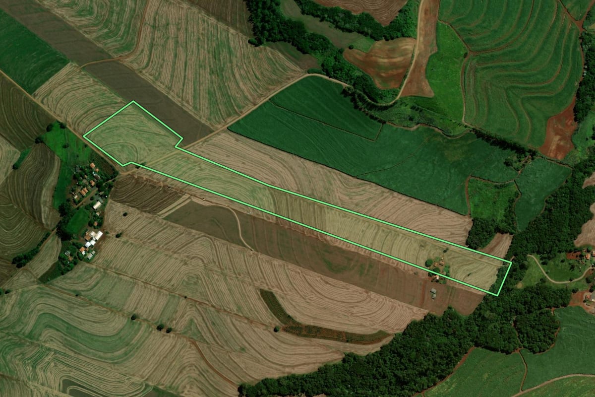 Imagem de satélite do imóvel rural em Jandaia do Sul (PR), com o contorno declarado no CAR desenhado por cima.