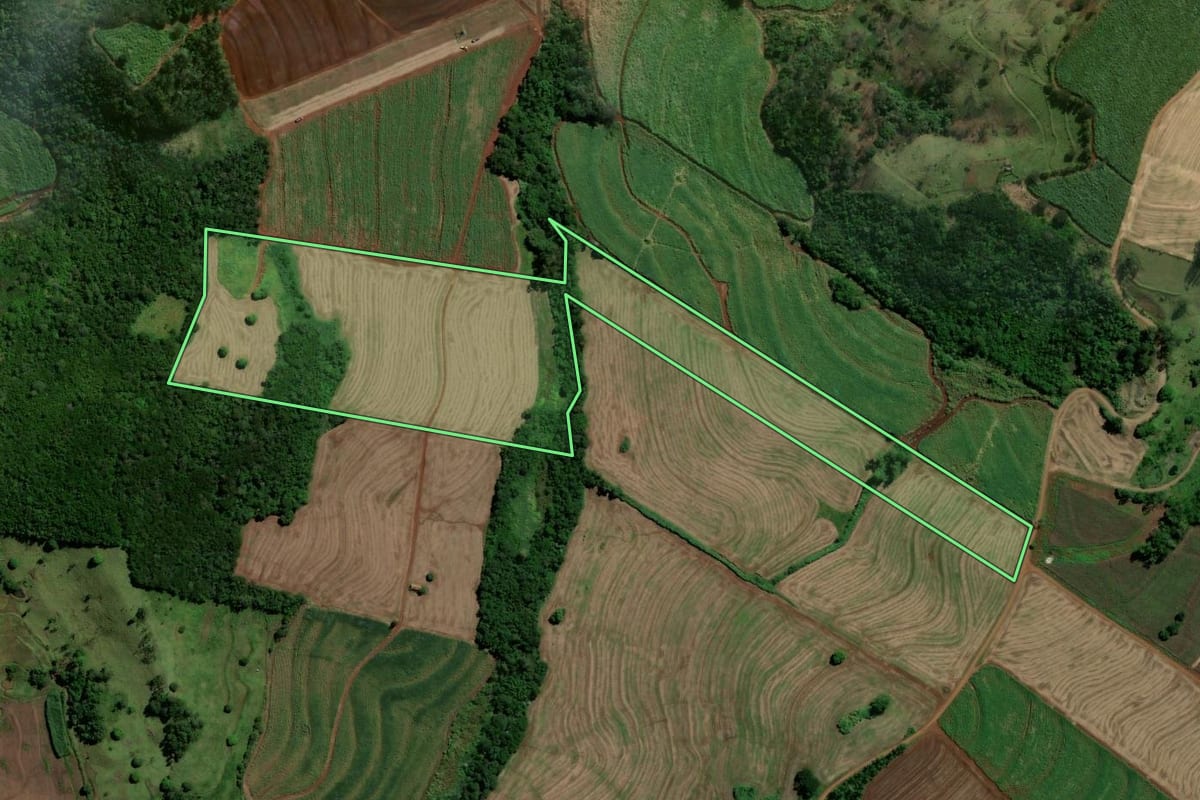 Imagem de satélite do imóvel rural em Jandaia do Sul (PR), com o contorno declarado no CAR desenhado por cima.