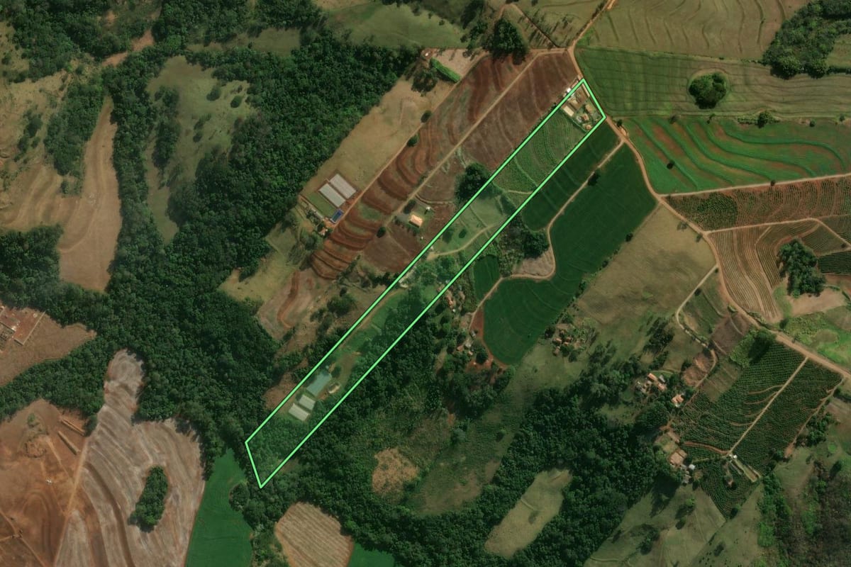 Imagem de satélite do imóvel rural em Jandaia do Sul (PR), com o contorno declarado no CAR desenhado por cima.