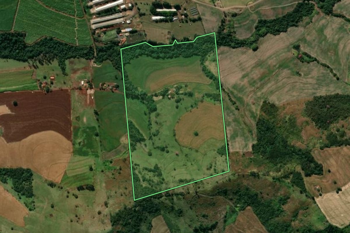 Imagem de satélite do imóvel rural em Jandaia do Sul (PR), com o contorno declarado no CAR desenhado por cima.