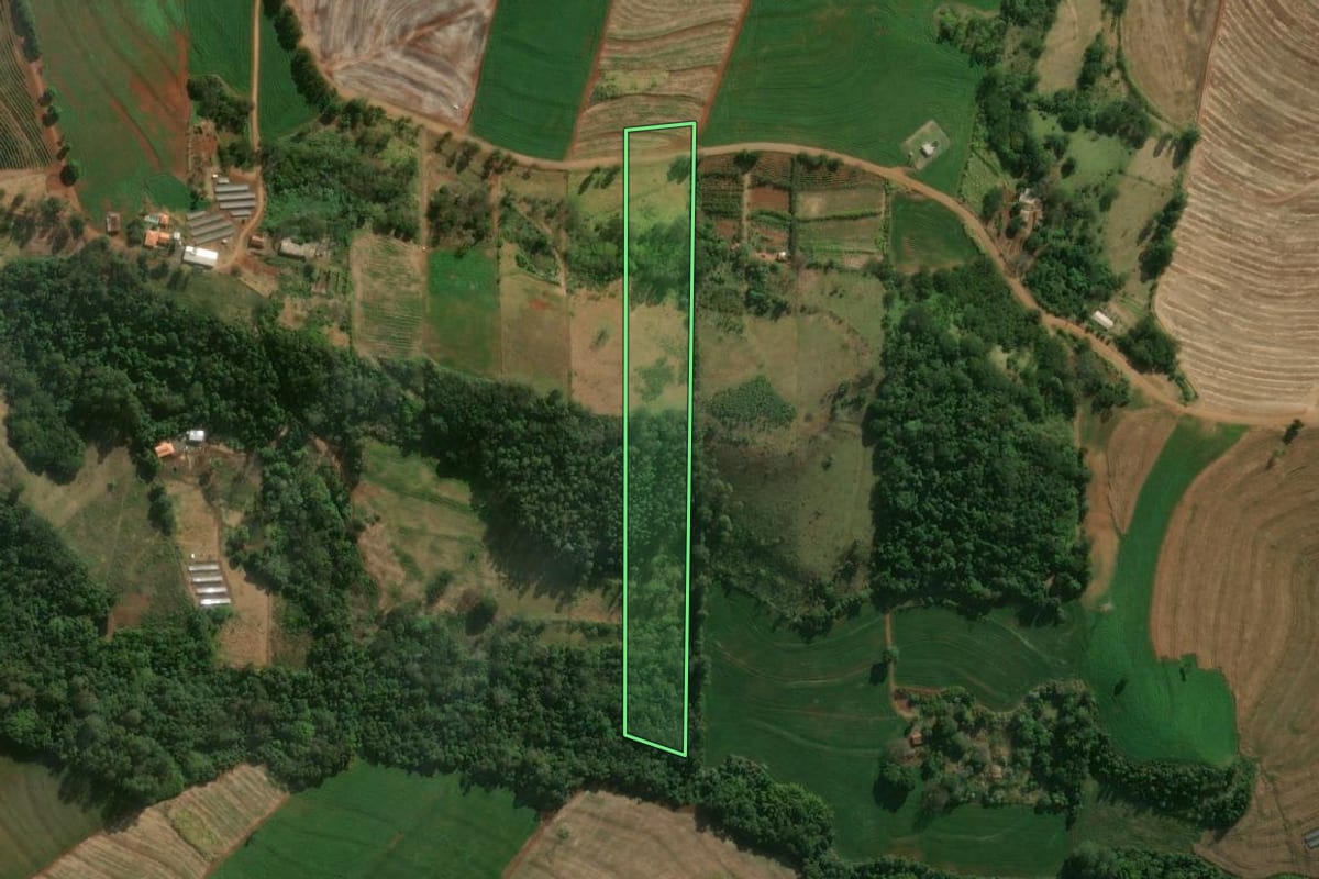 Imagem de satélite do imóvel rural em Jandaia do Sul (PR), com o contorno declarado no CAR desenhado por cima.