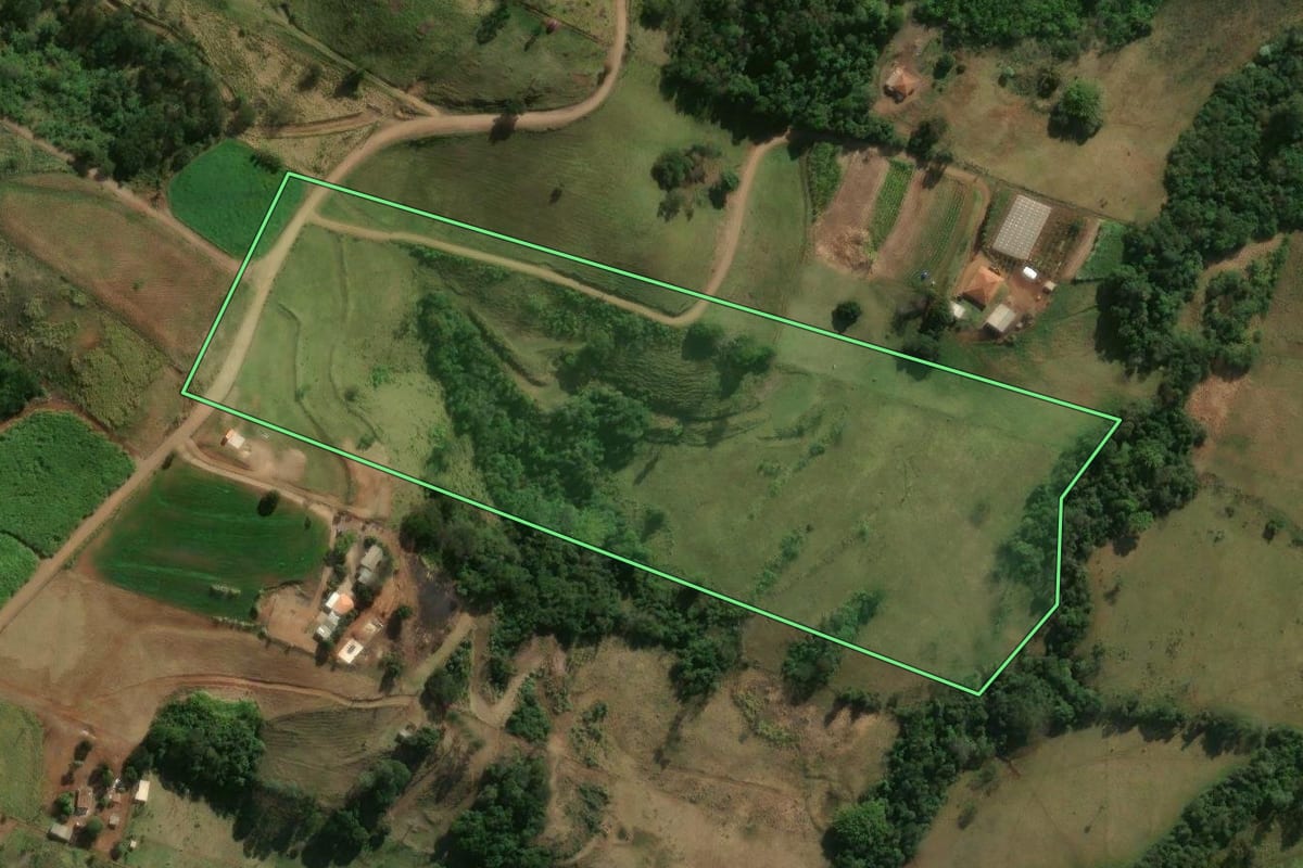 Imagem de satélite do imóvel rural em Jandaia do Sul (PR), com o contorno declarado no CAR desenhado por cima.