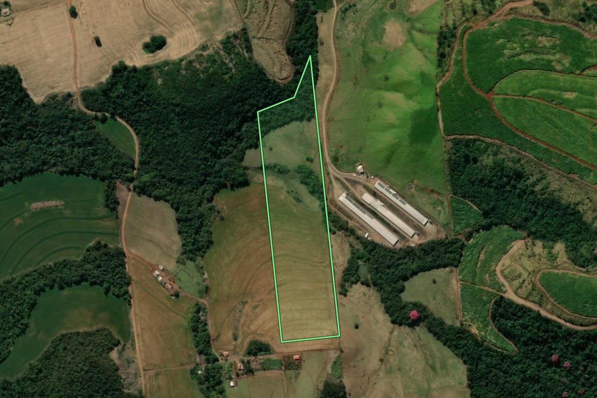 Imagem de satélite do imóvel rural em Jandaia do Sul (PR), com o contorno declarado no CAR desenhado por cima.