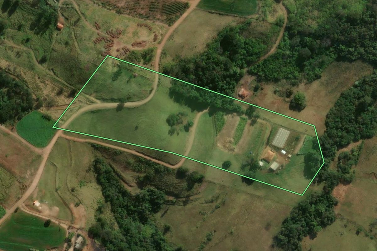 Imagem de satélite do imóvel rural em Jandaia do Sul (PR), com o contorno declarado no CAR desenhado por cima.