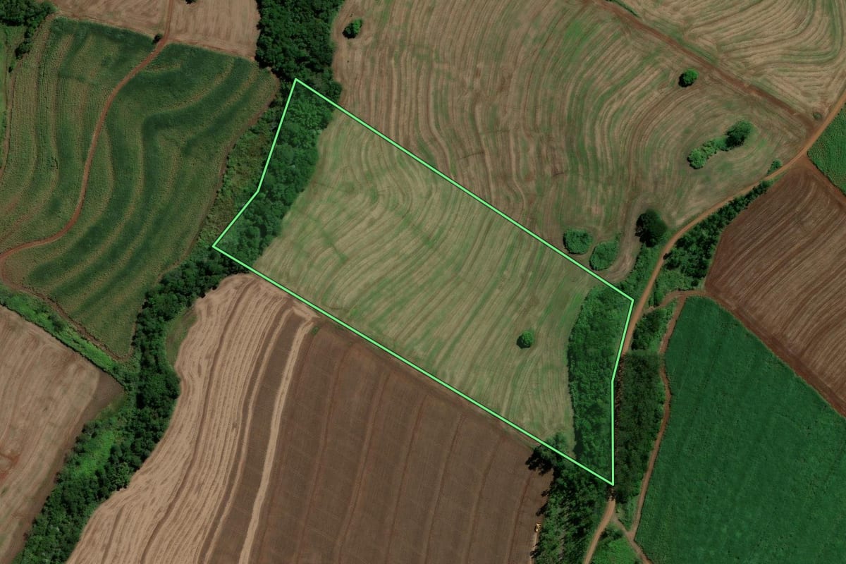 Imagem de satélite do imóvel rural em Jandaia do Sul (PR), com o contorno declarado no CAR desenhado por cima.