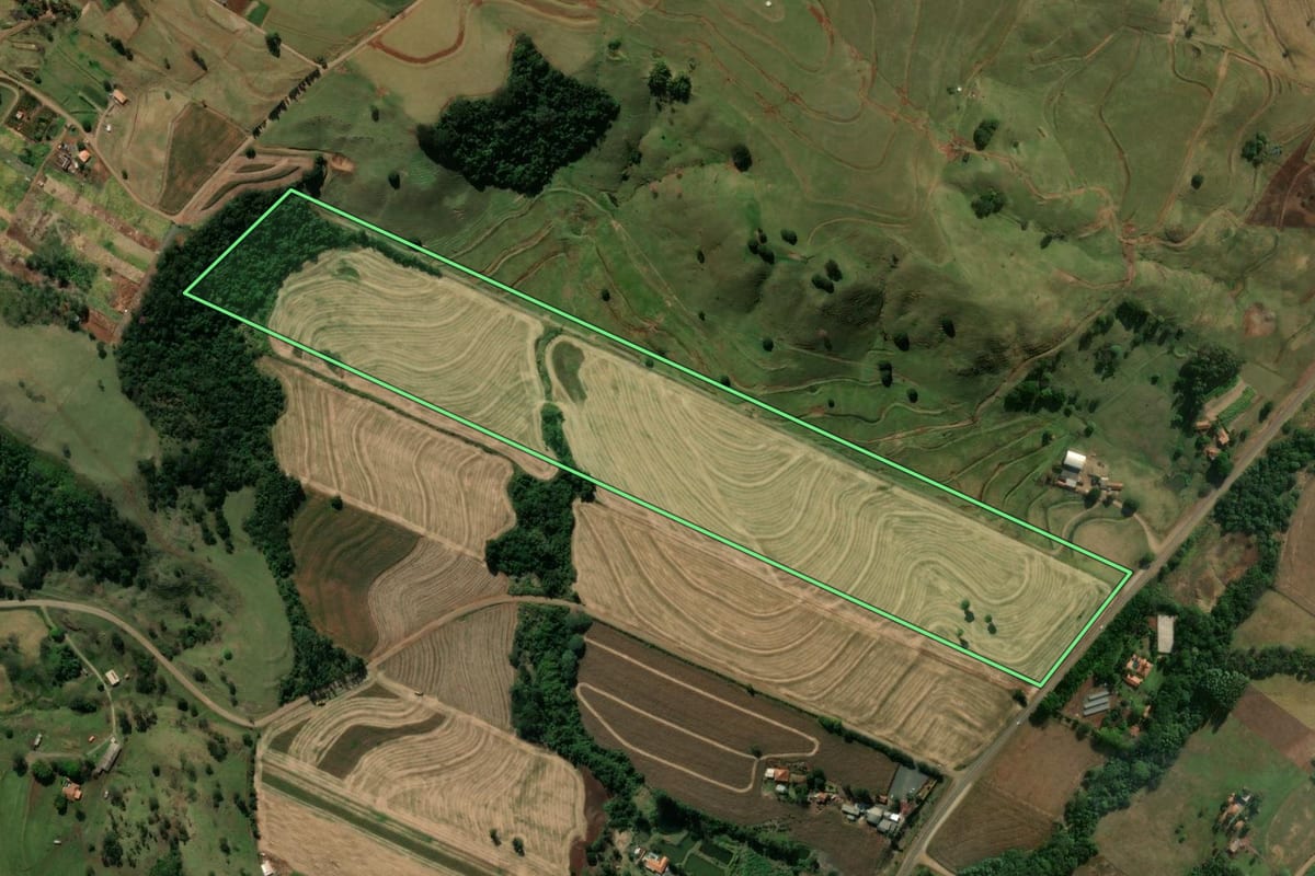 Imagem de satélite do imóvel rural em Jandaia do Sul (PR), com o contorno declarado no CAR desenhado por cima.