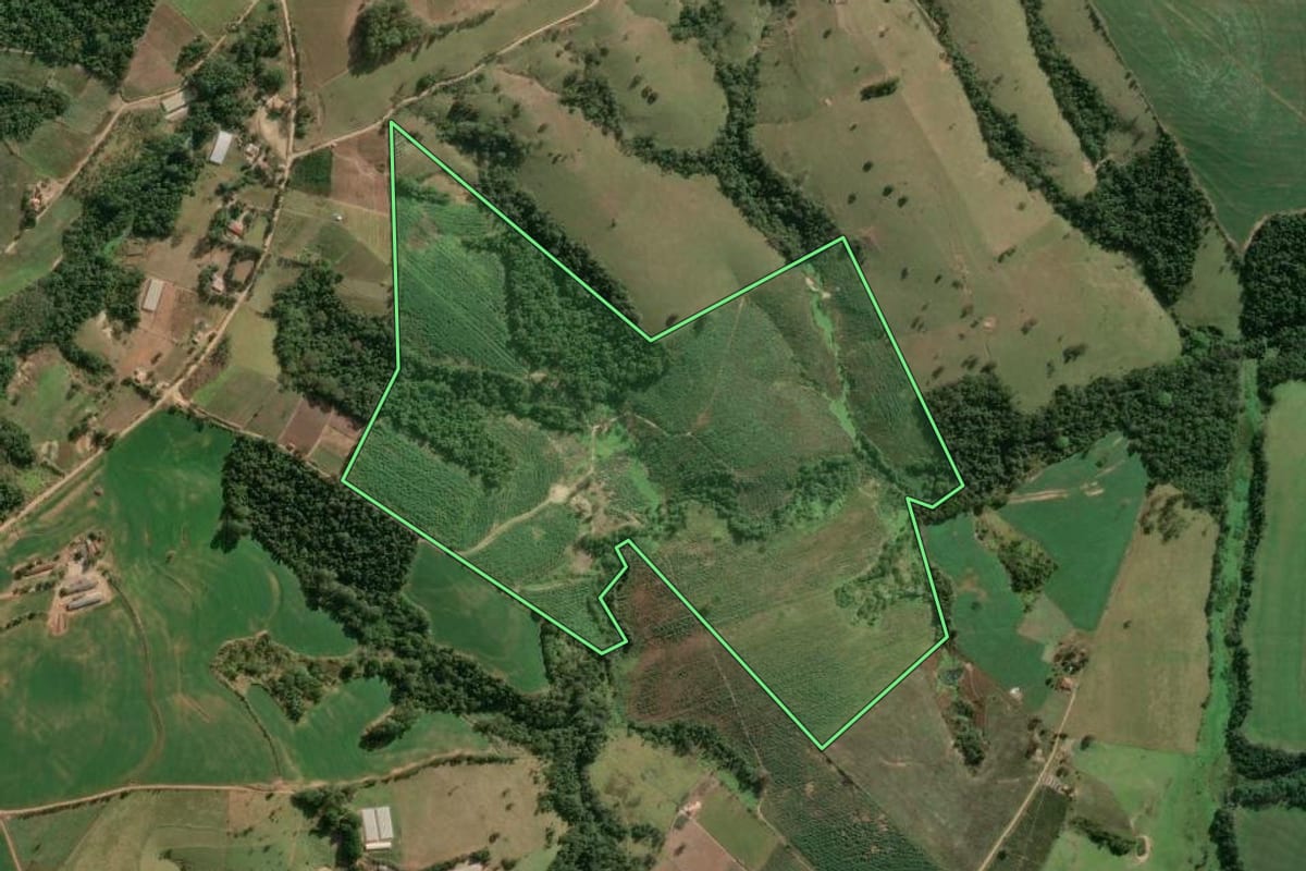 Imagem de satélite do imóvel rural em Japira (PR), com o contorno declarado no CAR desenhado por cima.