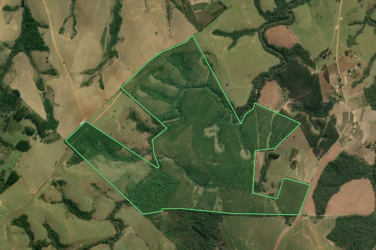 Imagem de satélite do imóvel rural em Japira (PR), com o contorno declarado no CAR desenhado por cima.