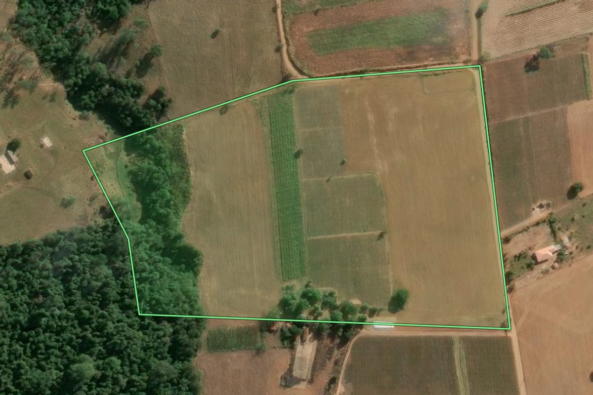 Imagem de satélite do imóvel rural em Japira (PR), com o contorno declarado no CAR desenhado por cima.
