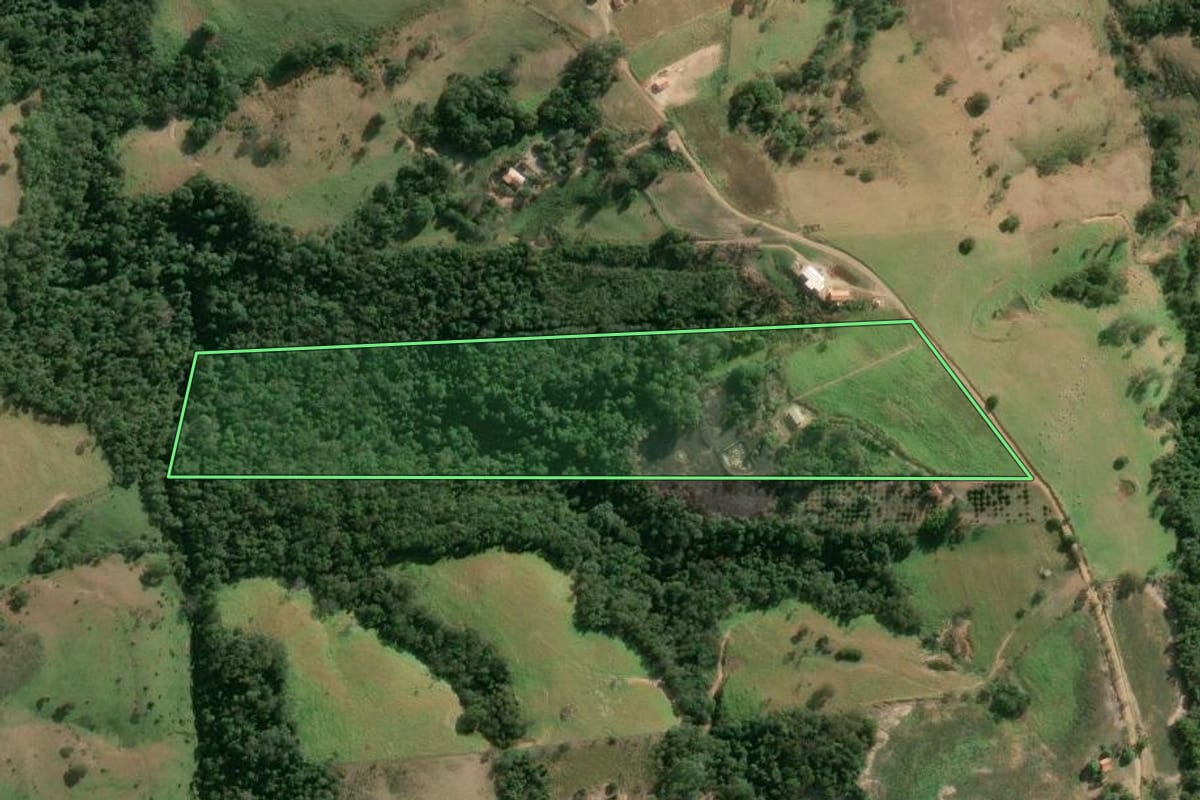 Imagem de satélite do imóvel rural em Japira (PR), com o contorno declarado no CAR desenhado por cima.