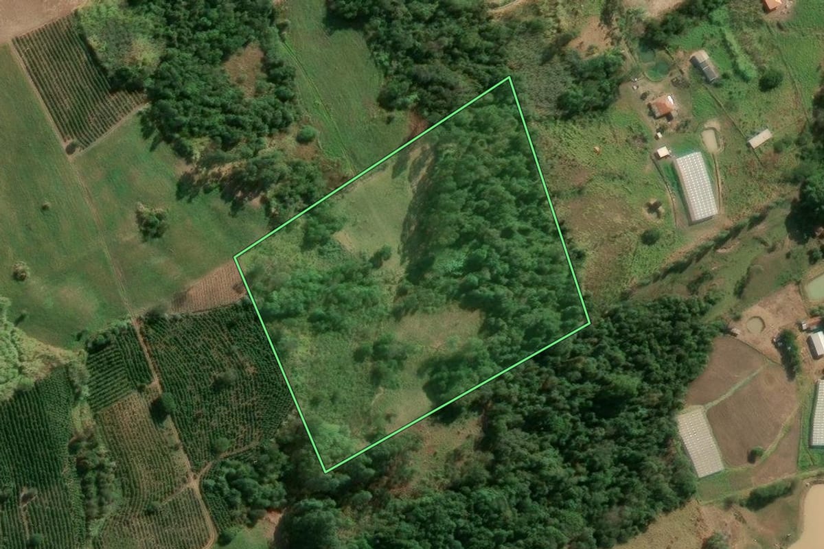 Imagem de satélite do imóvel rural em Japira (PR), com o contorno declarado no CAR desenhado por cima.