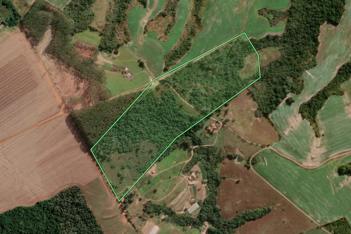 Imagem de satélite do imóvel rural em Japira (PR), com o contorno declarado no CAR desenhado por cima.