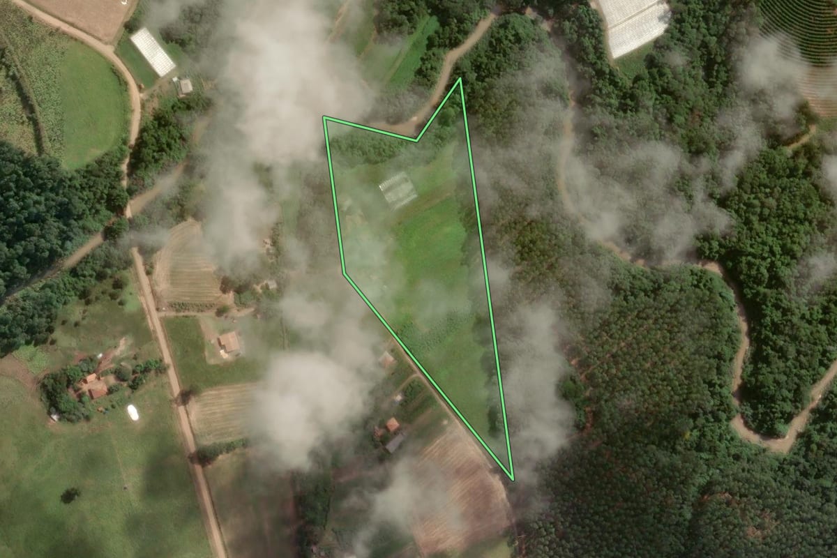 Imagem de satélite do imóvel rural em Japira (PR), com o contorno declarado no CAR desenhado por cima.