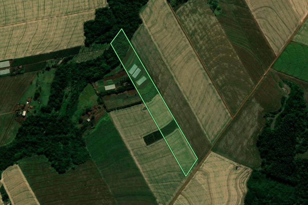 Imagem de satélite do imóvel rural em Japurá (PR), com o contorno declarado no CAR desenhado por cima.