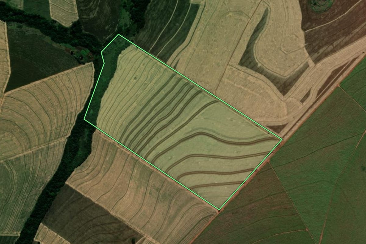 Imagem de satélite do imóvel rural em Japurá (PR), com o contorno declarado no CAR desenhado por cima.