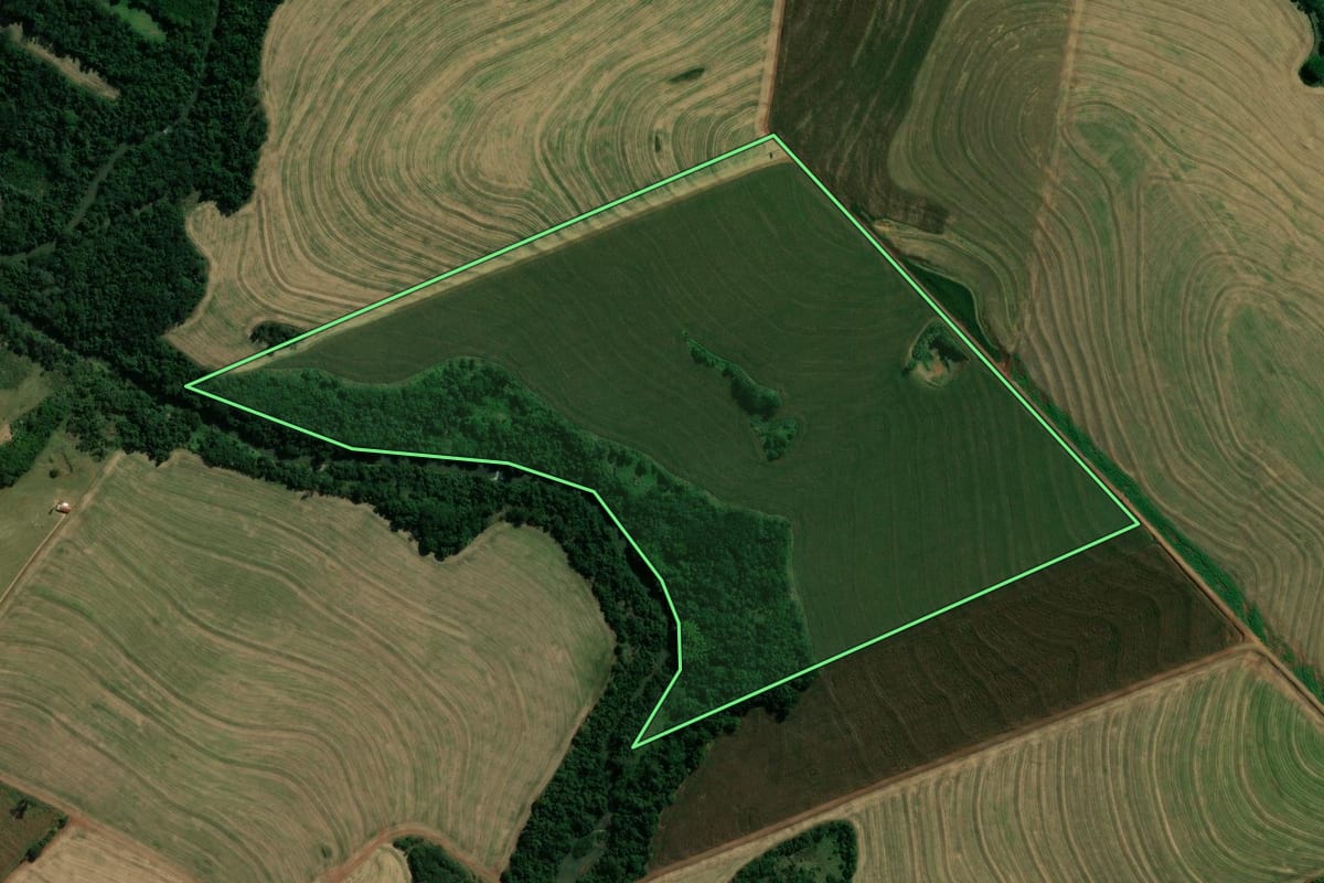 Imagem de satélite do imóvel rural em Japurá (PR), com o contorno declarado no CAR desenhado por cima.