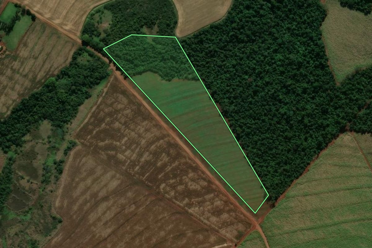 Imagem de satélite do imóvel rural em Japurá (PR), com o contorno declarado no CAR desenhado por cima.