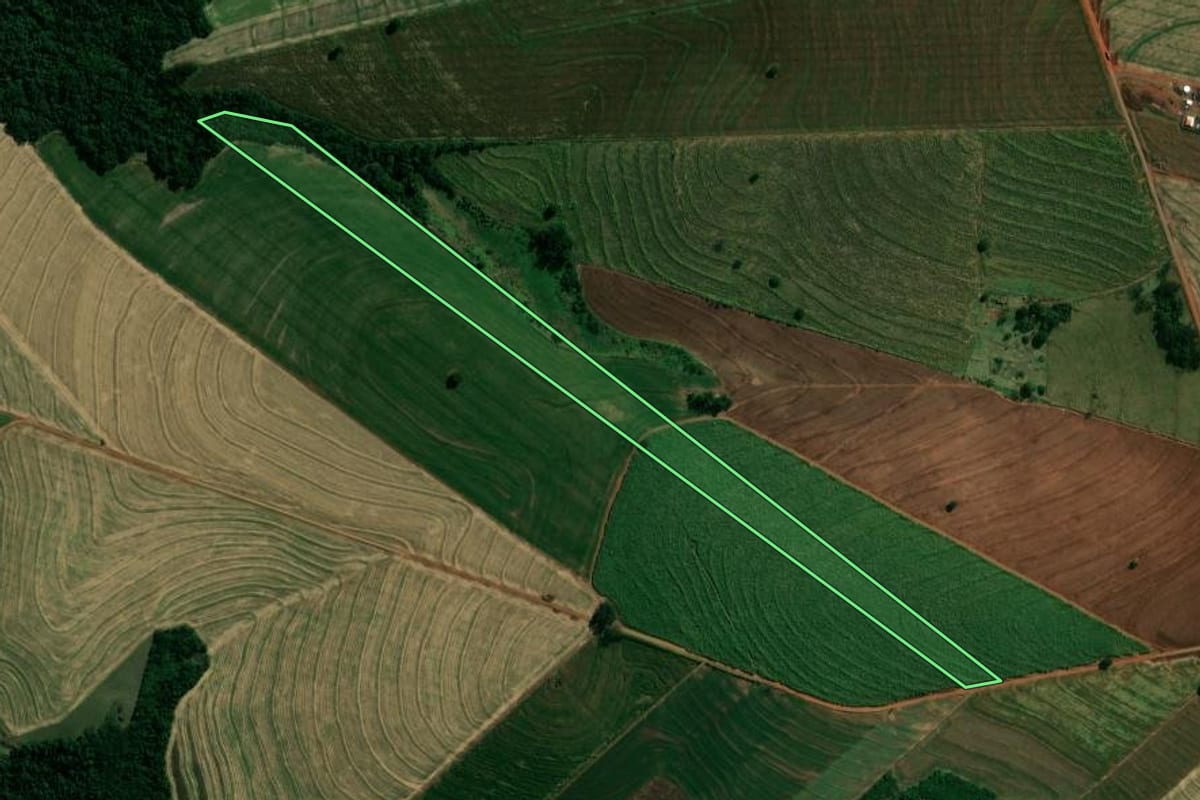 Imagem de satélite do imóvel rural em Japurá (PR), com o contorno declarado no CAR desenhado por cima.